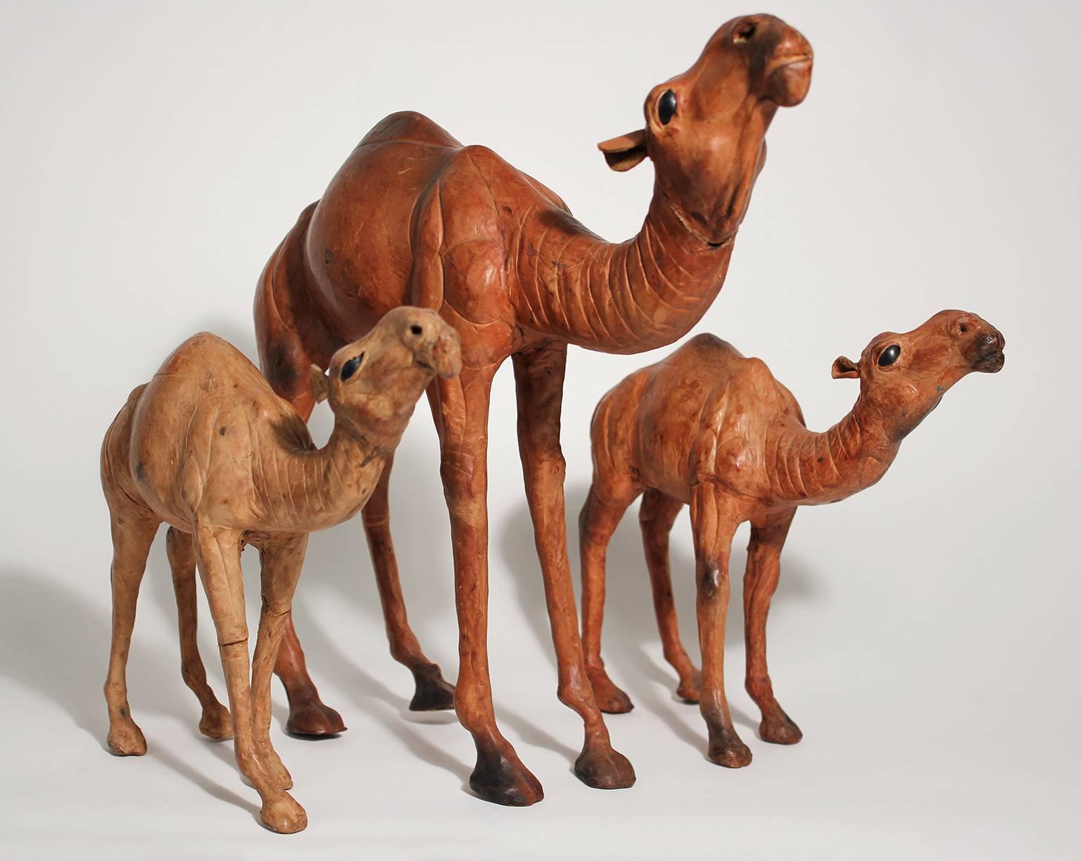 Very unique set of three Italian leather wrapped camel figurines. The outer surface is leather and all three have glass eyes. Detail is excellent. In nice shape with normal wear from age. 
Large camel measures 12