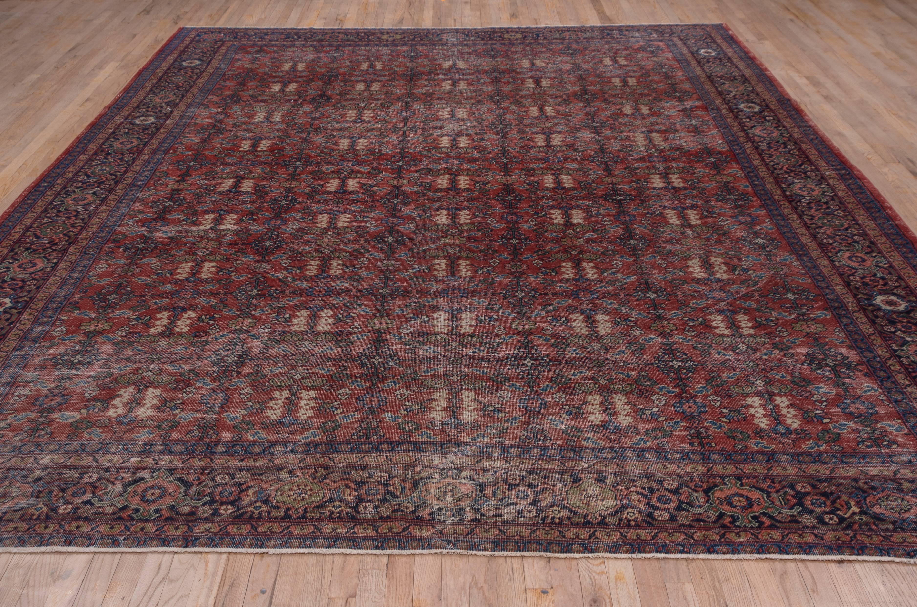 This rather worn but still stylistically integrous displays a small floral wreath and six  posy ivory  flowers on a madder red ground. This antique west Persian carpet is in shabby chic condition.