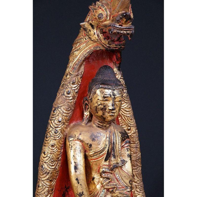 Lacquer Antique Shan Buddha with Naga from Burma For Sale