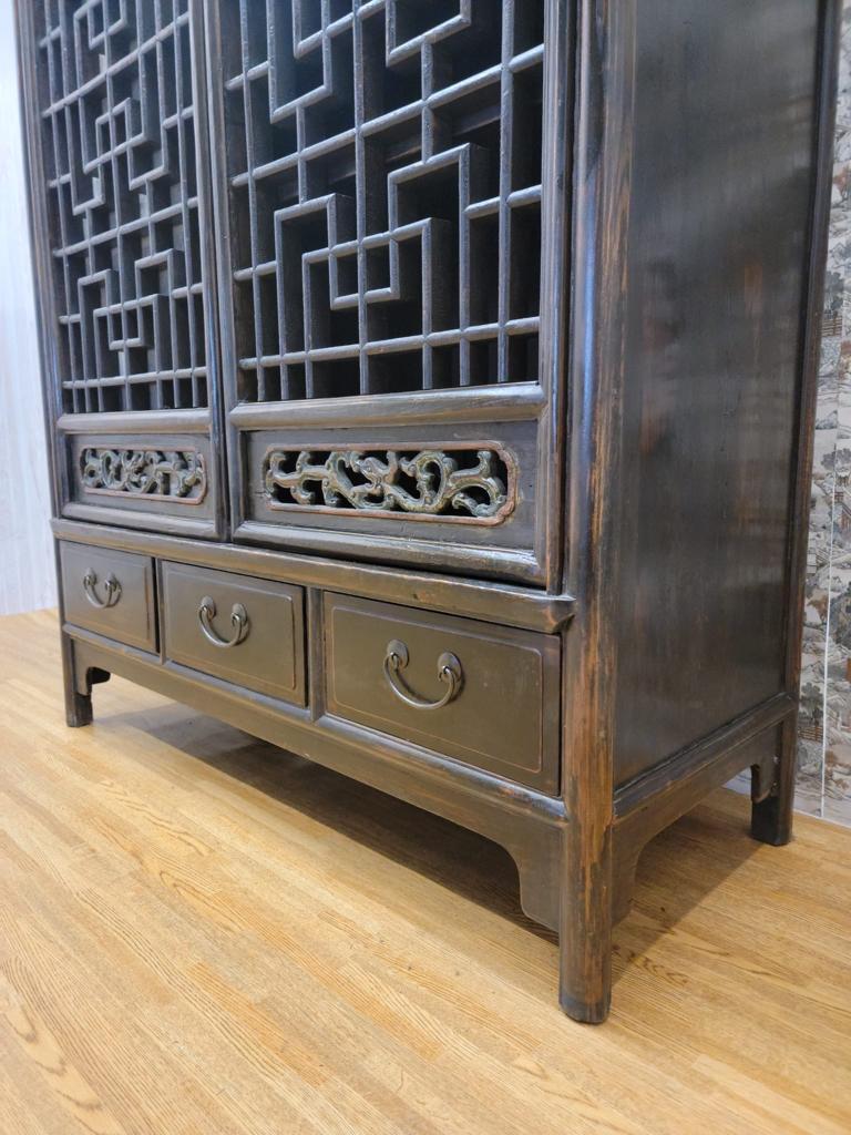 Chinese Antique Shanxi Province Elmwood Lattice Carved Door Panel Cabinet For Sale