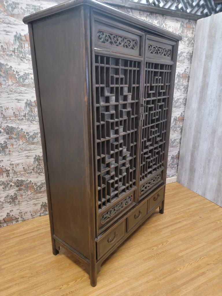 Hand-Carved Antique Shanxi Province Elmwood Lattice Carved Door Panel Cabinet For Sale
