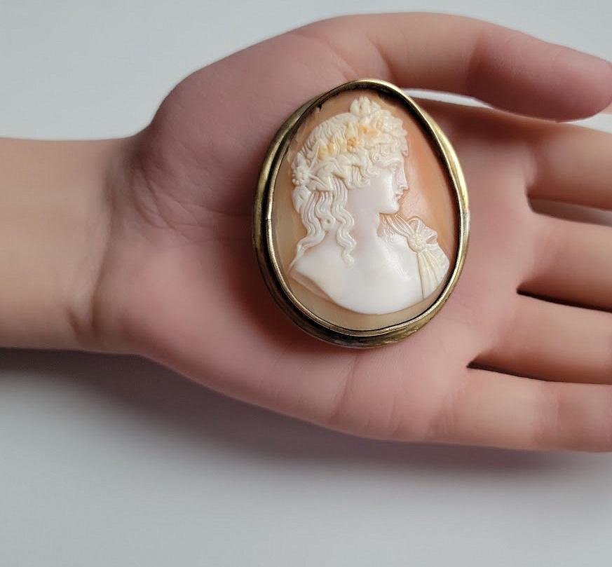 Antique Shell Cameo Antinous 6