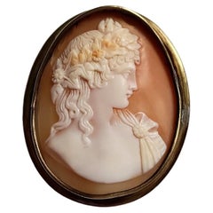Antique Shell Cameo Antinous