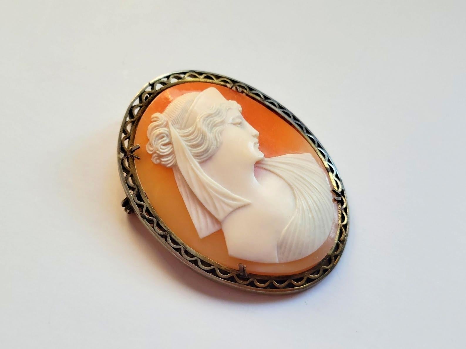 Victorian Cameo Brooch. Fabulous carved Victorian brooch made around the late 1800s. It depicts a beautiful portrait of a young lady. The execution of the shell is amazing, and the relief helps to add details and dimension to the design. The frame