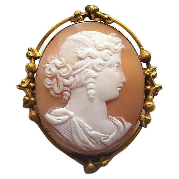Antique Shell Cameo Brooch Young Lady, late 19th early 20th century For Sale