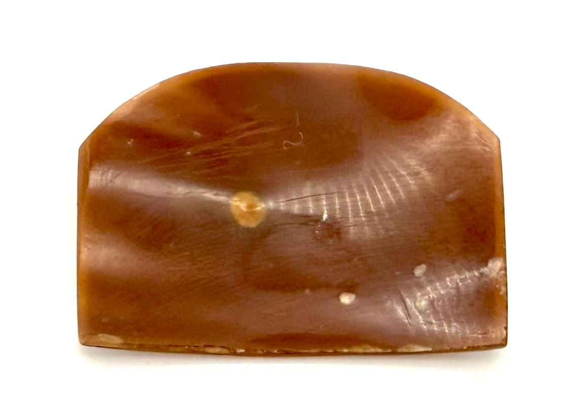 This shell cameo in the form of a rounded rectangle was carved around 1900 ca. out of a three layered shell. The bottom layer is of a dark fudge colour, the next layer of a deep purplish blue. The top layer is white, in parts carved so thin that the