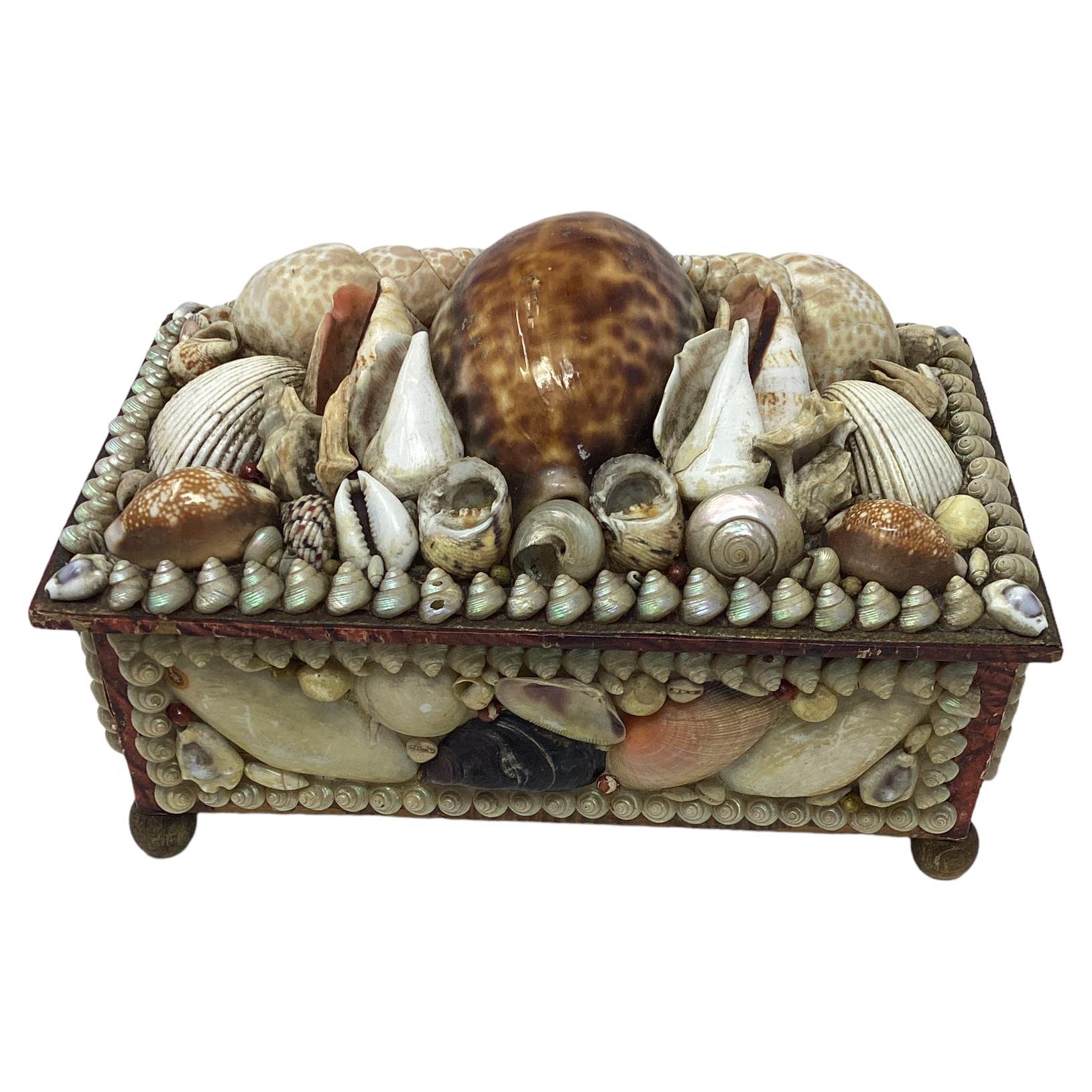 Antique Shell Encrusted Box. This was probably a dressing box because the interior has a mirror. The box sits on top of round ball feet.