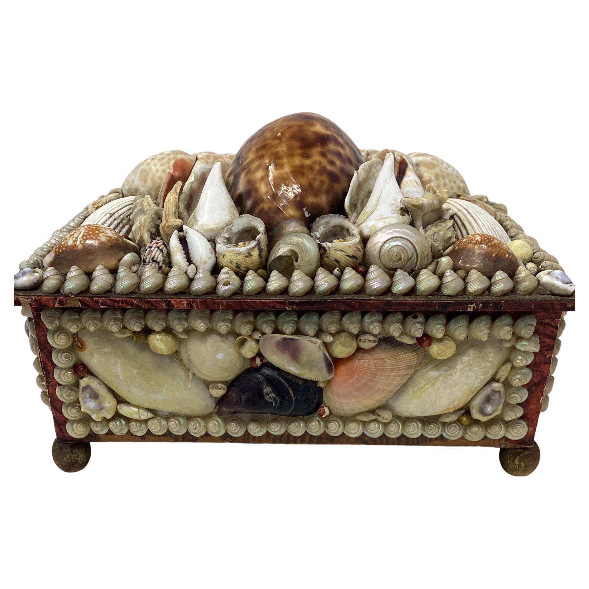 Antique Shell Encrusted Box For Sale at 1stDibs
