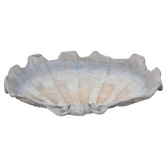 Antique Shell Form Lead Garden Basin