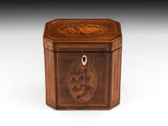 Antique Shell Inlaid Harewood Tea Caddy, 18th Century