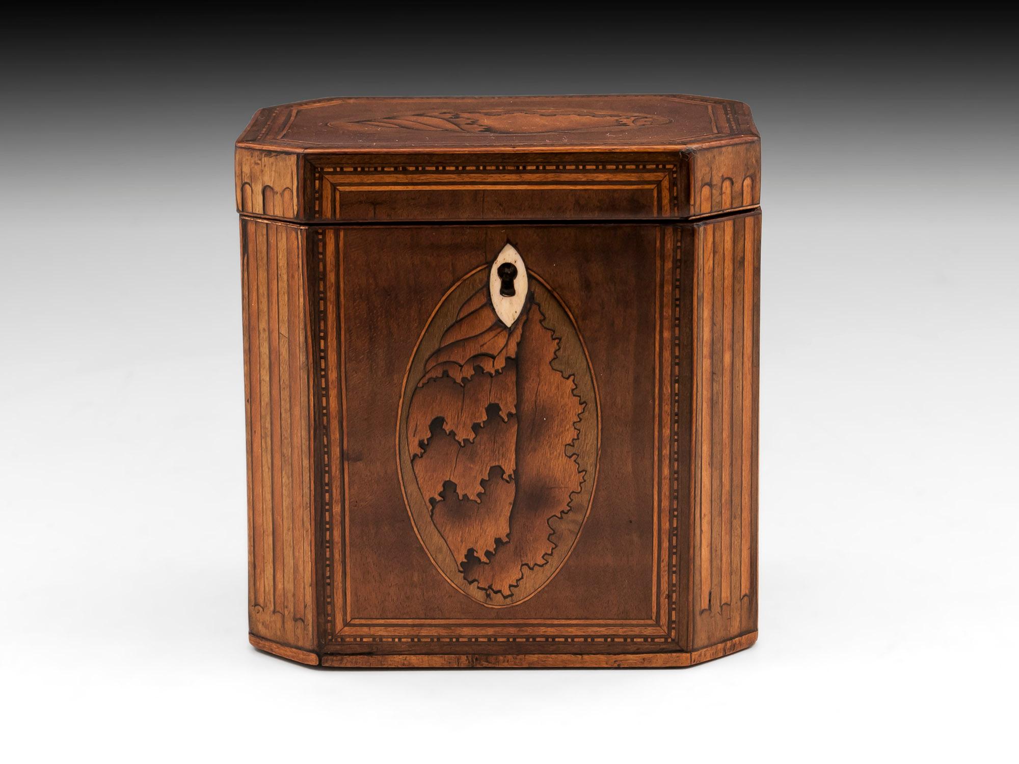 George III Antique Shell Inlaid Harewood Tea Caddy, 18th Century
