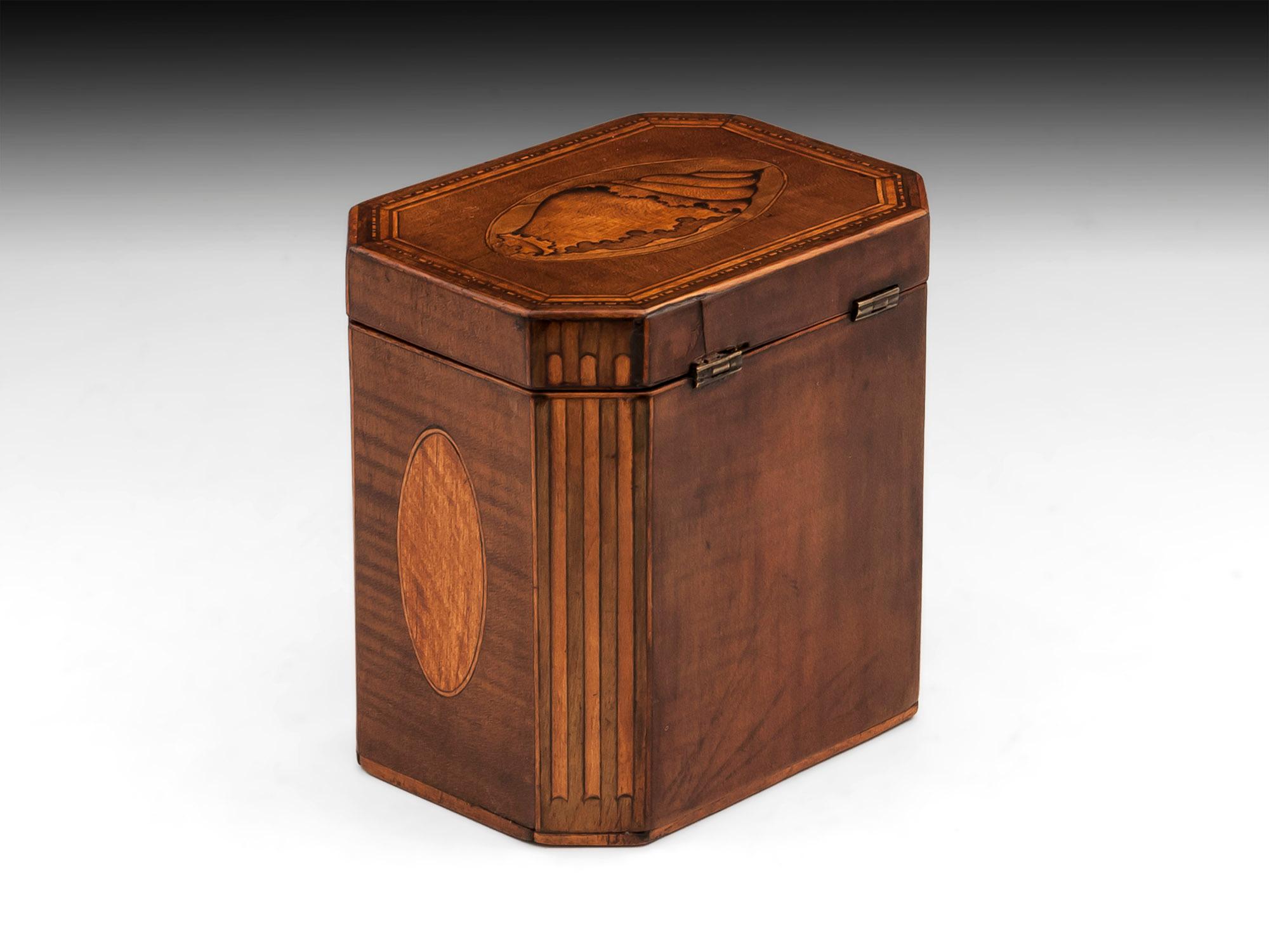 18th Century and Earlier Antique Shell Inlaid Harewood Tea Caddy, 18th Century