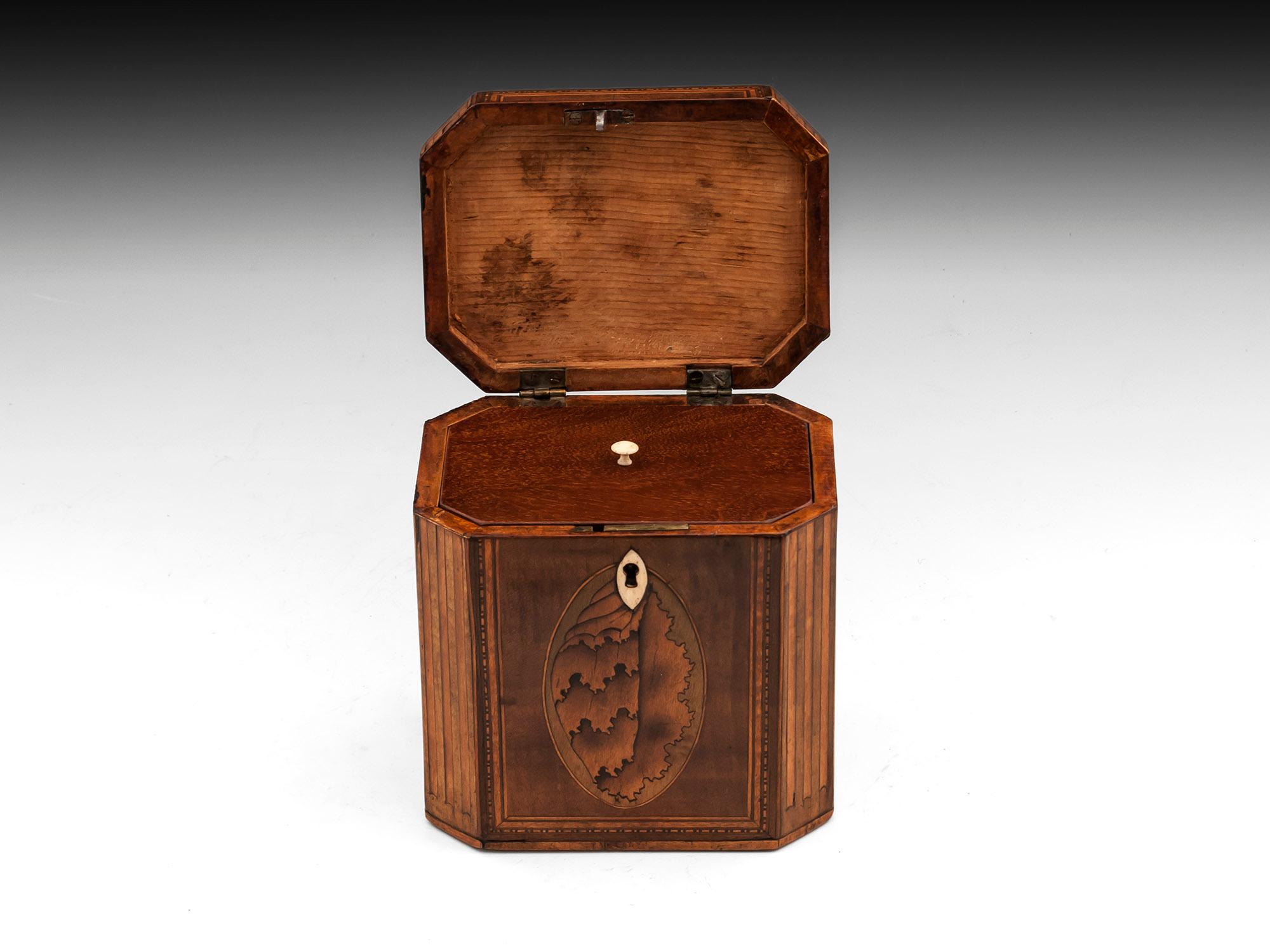 Bone Antique Shell Inlaid Harewood Tea Caddy, 18th Century