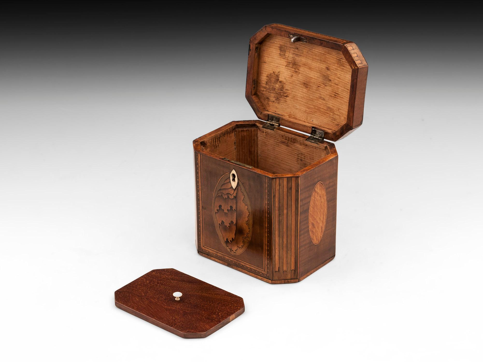 Antique Shell Inlaid Harewood Tea Caddy, 18th Century 1