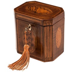 Antique Shell Inlaid Harewood Tea Caddy, 18th Century