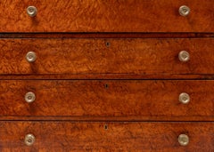 Antique Sheraton Birdseye Maple Chest