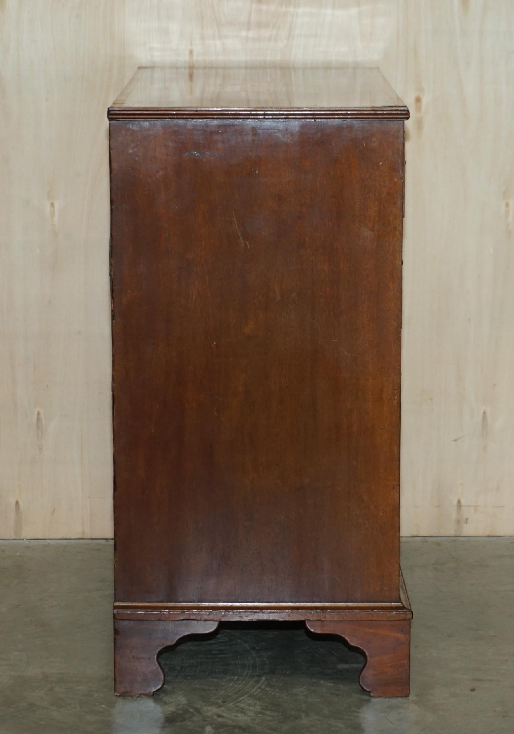 Antique Sheraton Revival F.Thomas Halesowen Chest of Drawers Hardwood Satinwood For Sale 9