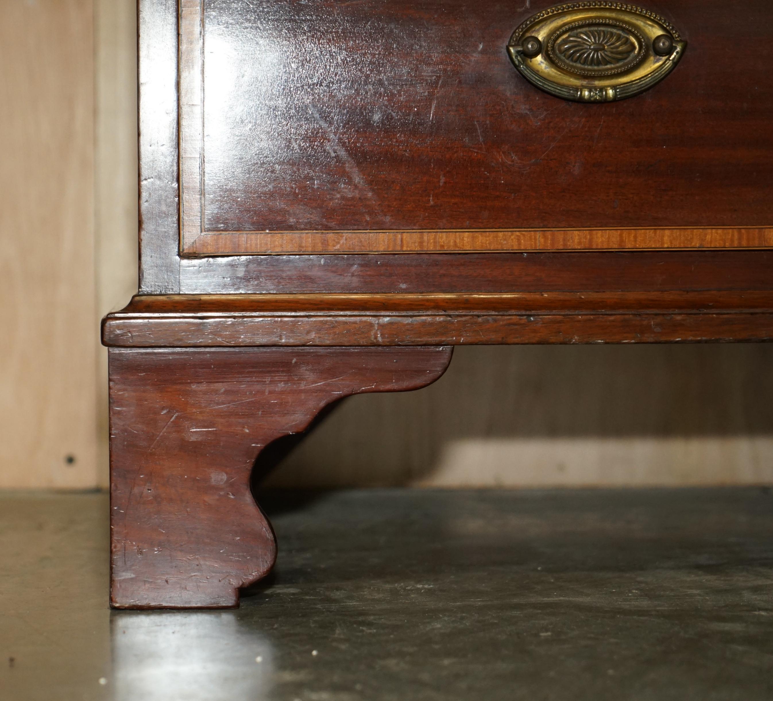 19th Century Antique Sheraton Revival F.Thomas Halesowen Chest of Drawers Hardwood Satinwood For Sale