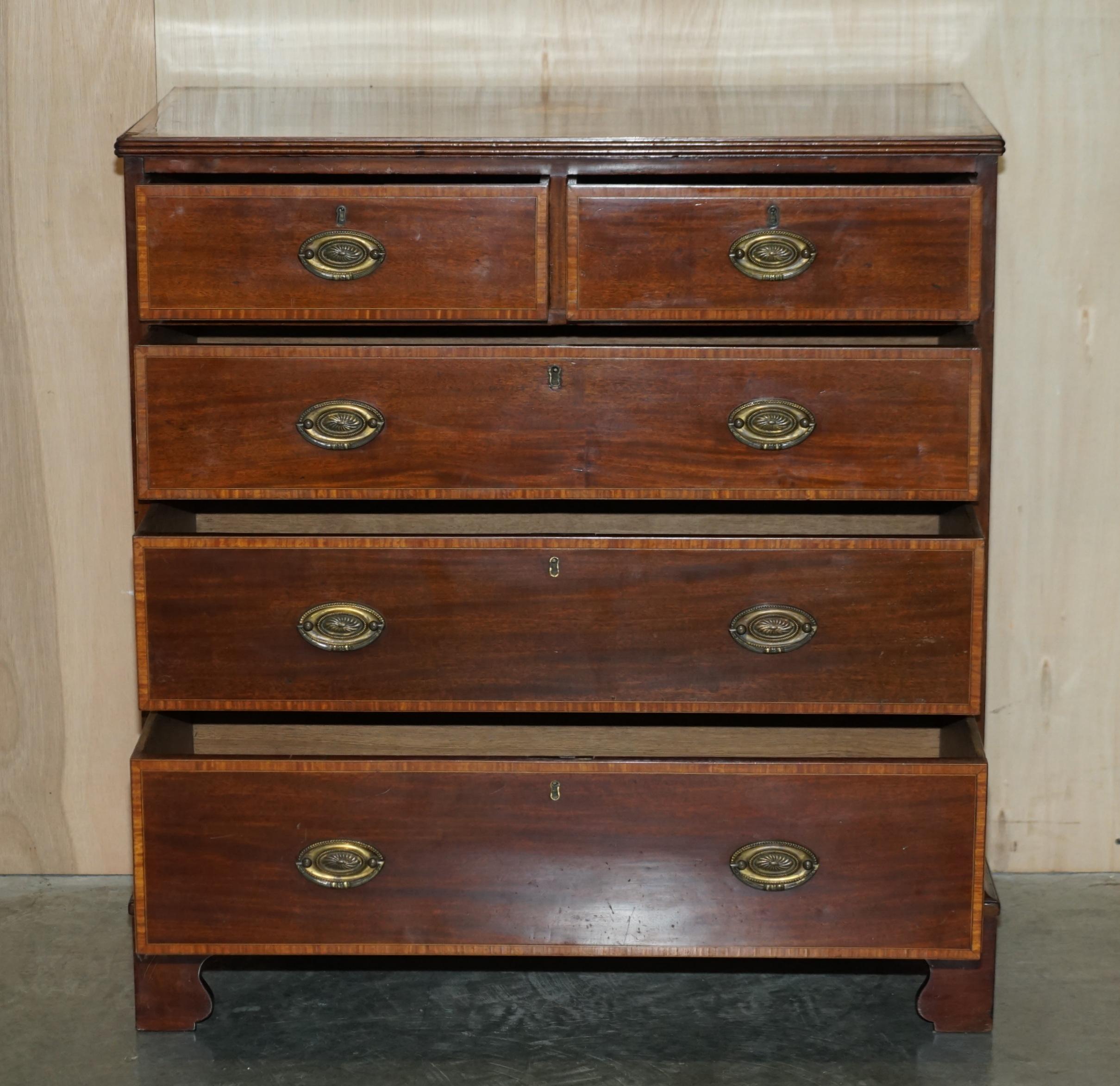 Antique Sheraton Revival F.Thomas Halesowen Chest of Drawers Hardwood Satinwood For Sale 1