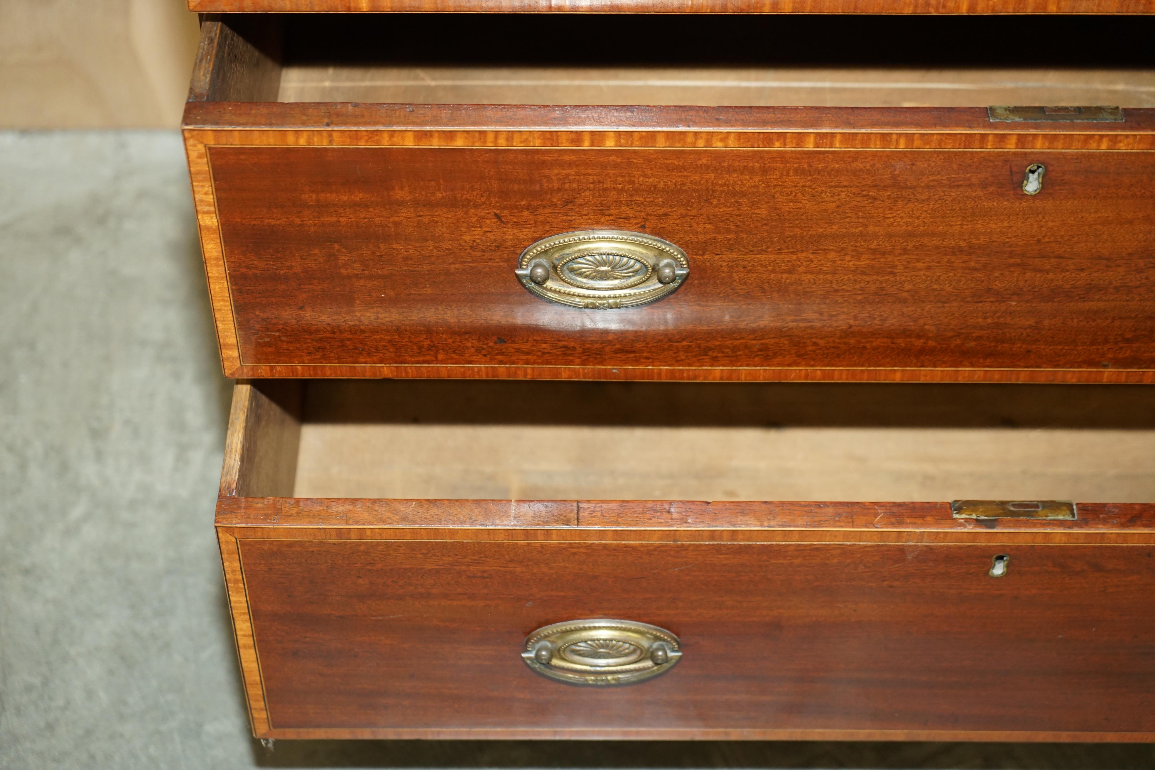 Antique Sheraton Revival F.Thomas Halesowen Chest of Drawers Hardwood Satinwood For Sale 3