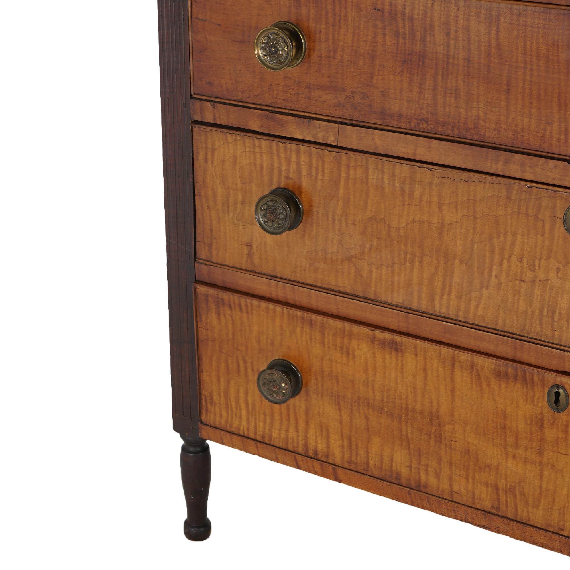 Antique Sheridan Tiger Maple Chest with Four Graduated Drawers C1870 7
