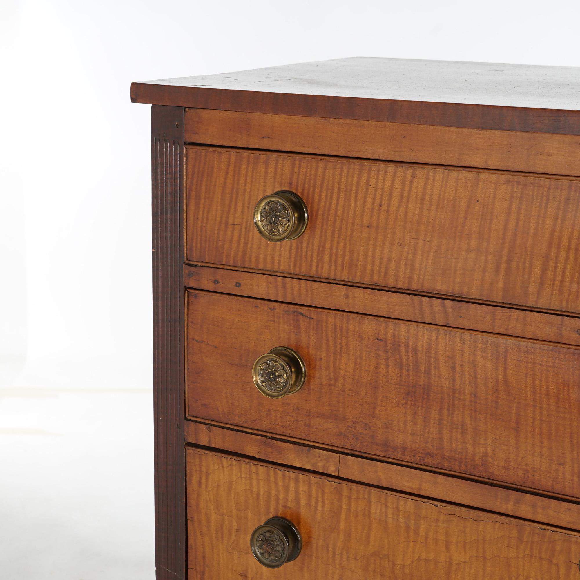 Antique Sheridan Tiger Maple Chest with Four Graduated Drawers C1870 8