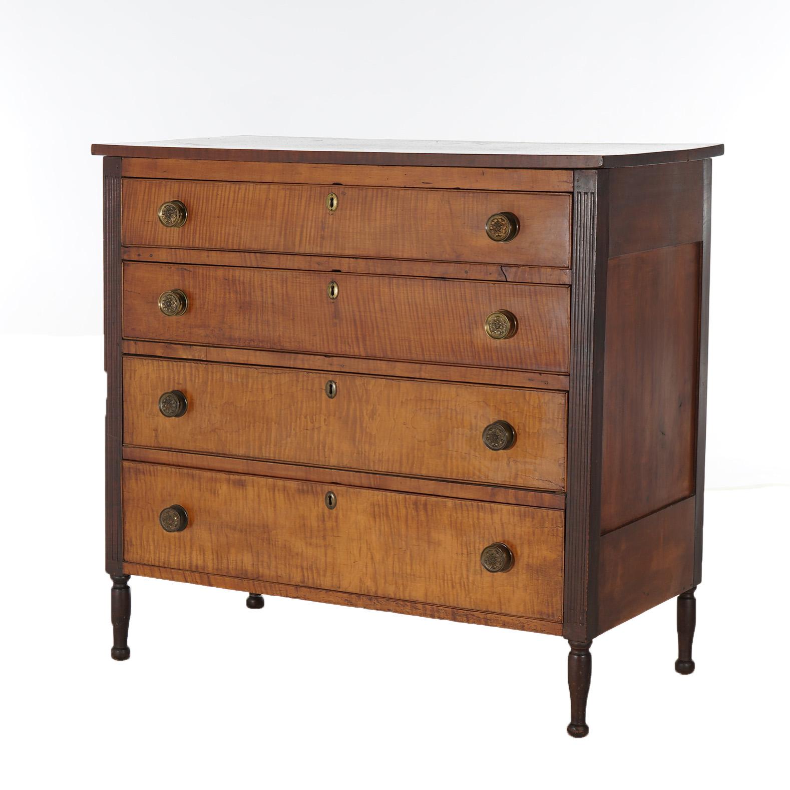 Sheraton Antique Sheridan Tiger Maple Chest with Four Graduated Drawers C1870