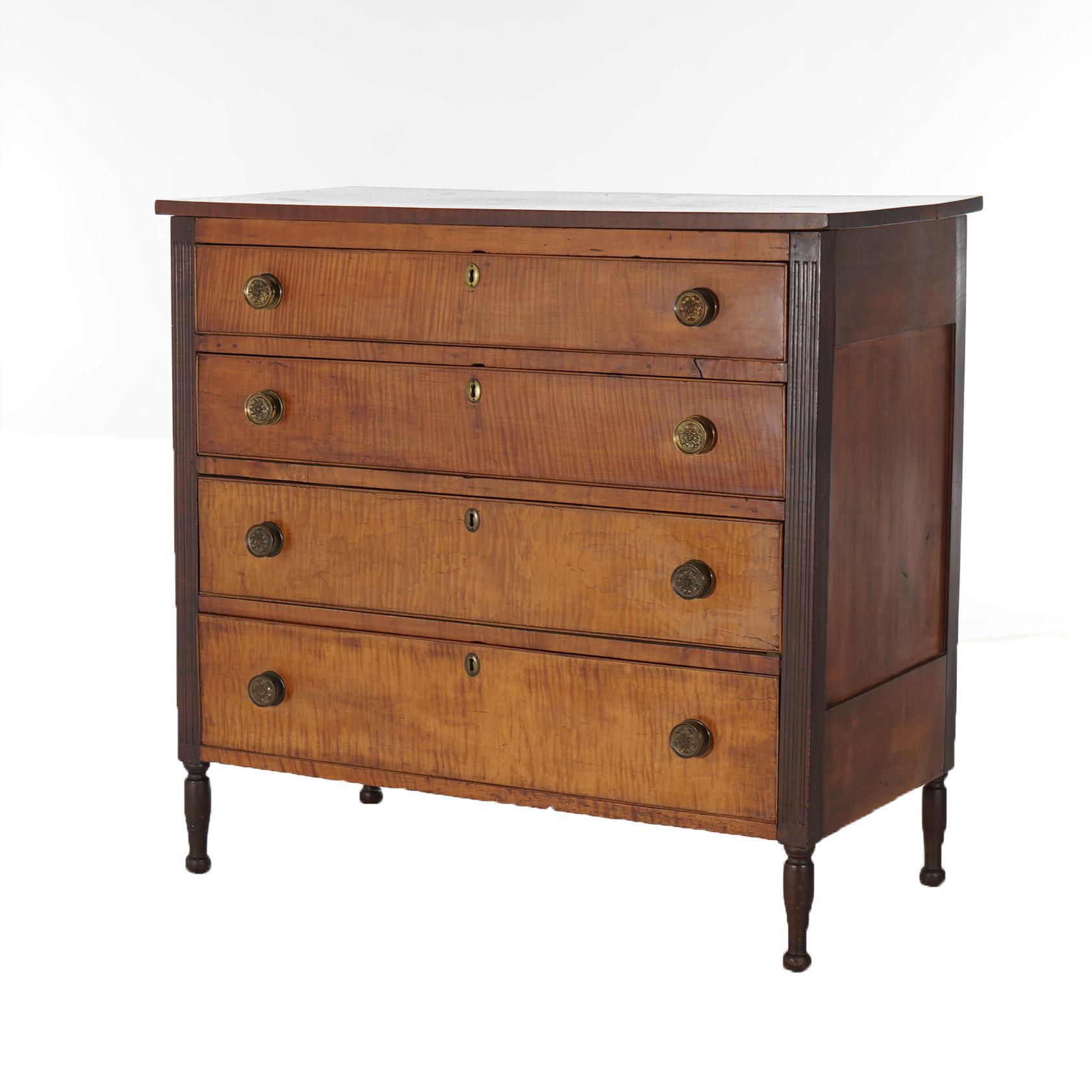 American Antique Sheridan Tiger Maple Chest with Four Graduated Drawers C1870