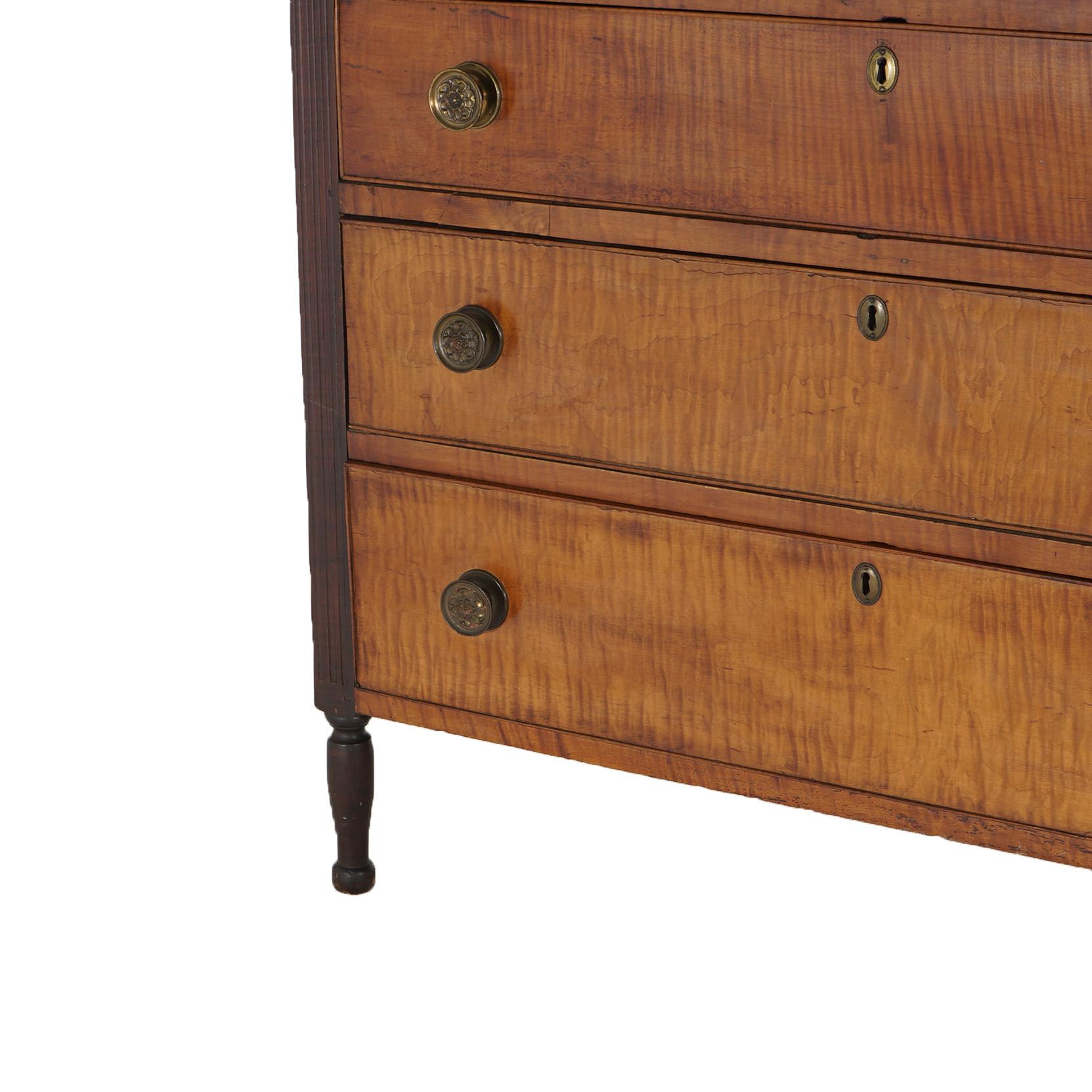Antique Sheridan Tiger Maple Chest with Four Graduated Drawers C1870 1