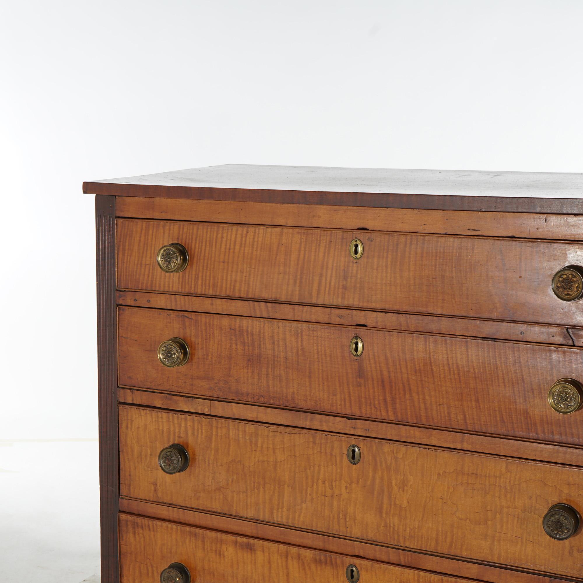 Antique Sheridan Tiger Maple Chest with Four Graduated Drawers C1870 2