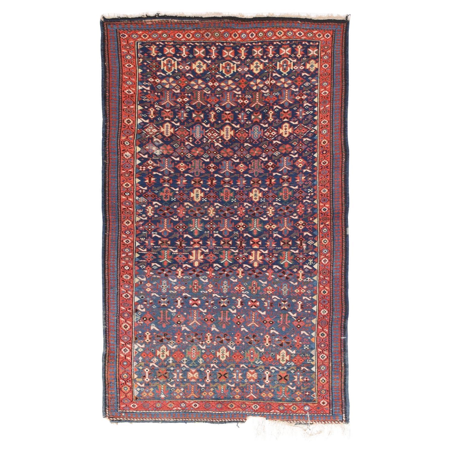 Tappeto antico Shirvan-Kuba 3'6'' x 5'5''