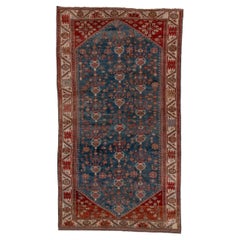 Antique Shirvan Rug with Royal Blue Field and Red Corners