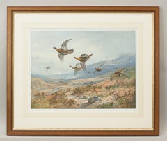 Antikes Shooting-Bild, Grouse Over the Moors von Archibald Thorburn