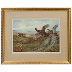 Gravure ancienne de tir:: les saisons par Archibald Thorburn:: été:: grouse