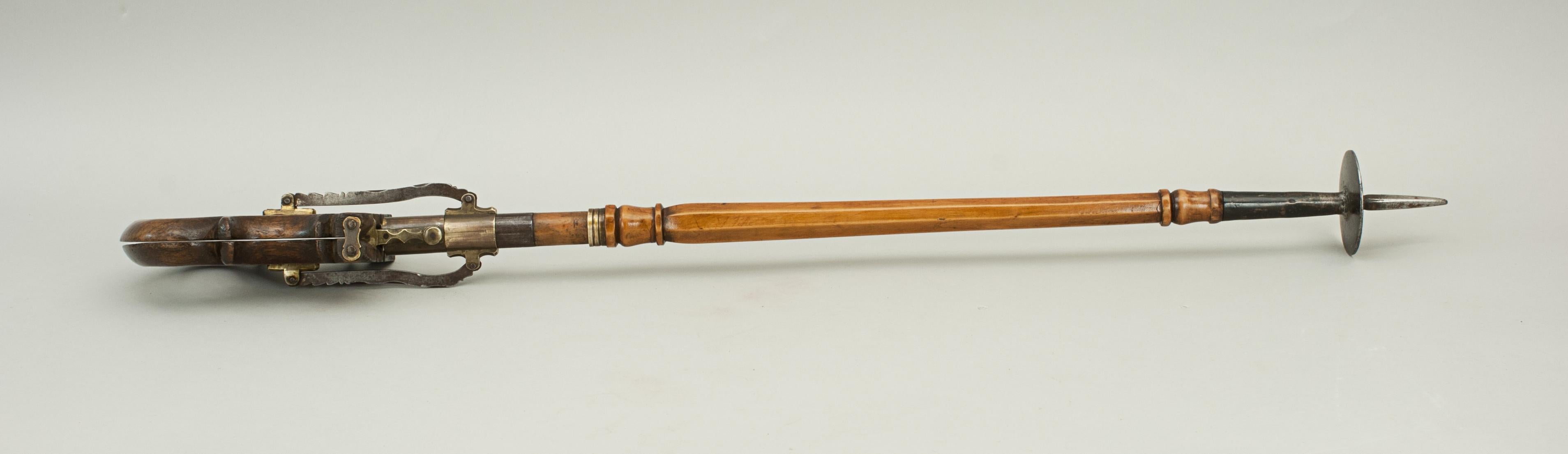 Antique Shooting Stick, Walking Stick, Victorian Fruitwood, 19th Century 7
