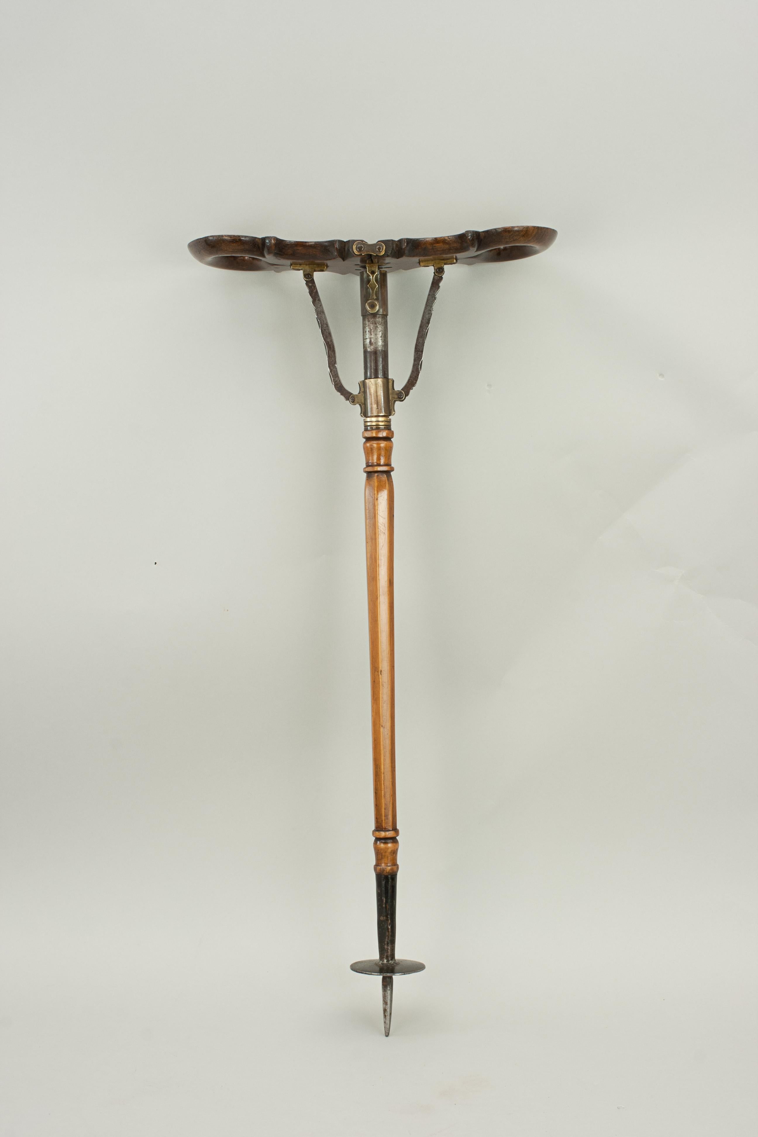 Antique Shooting Stick, Walking Stick, Victorian Fruitwood, 19th Century 8