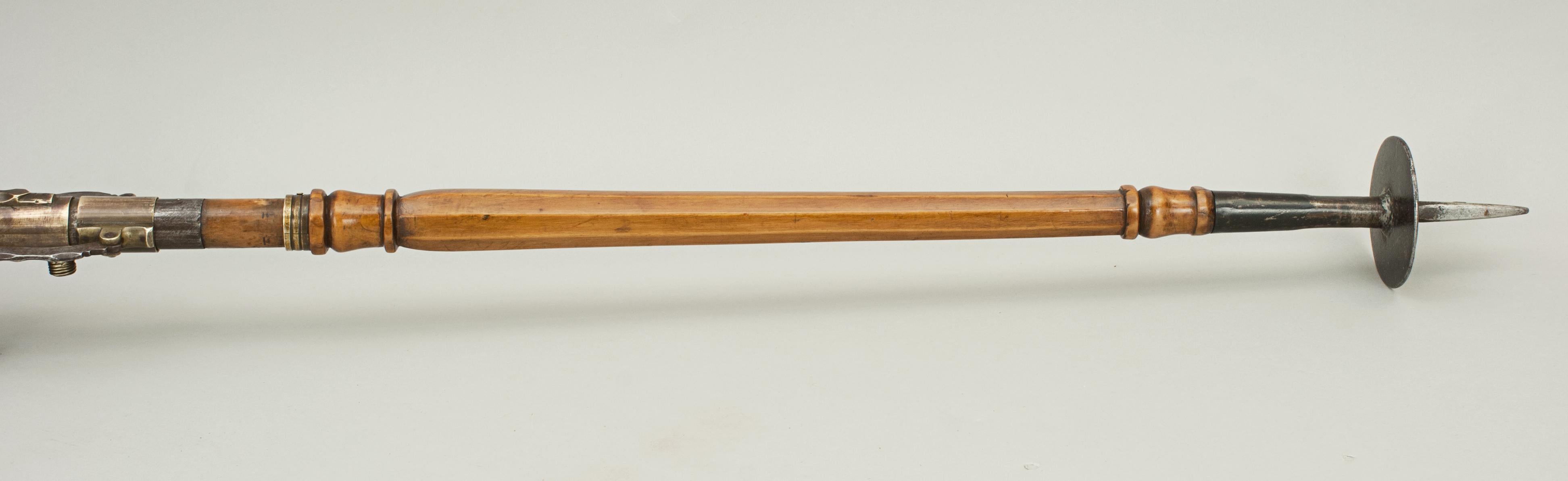 Antique Shooting Stick, Walking Stick, Victorian Fruitwood, 19th Century 3