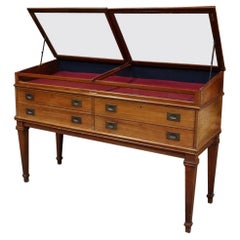 Antique Shop display cabinet / case / vitrine