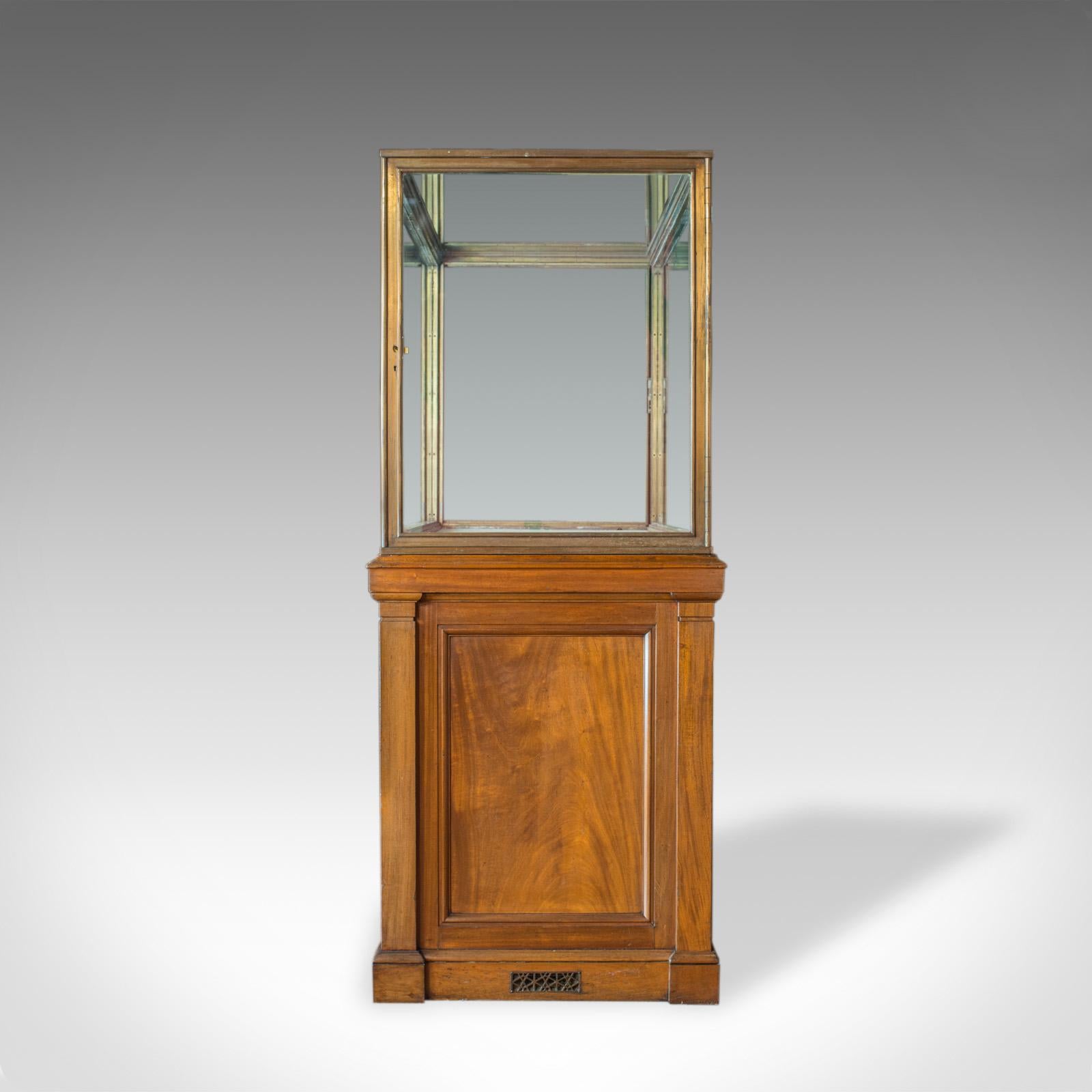 Antique Showcase Cabinet, English, Walnut, Bronze, Display, Museum, circa 1900 In Good Condition In Hele, Devon, GB