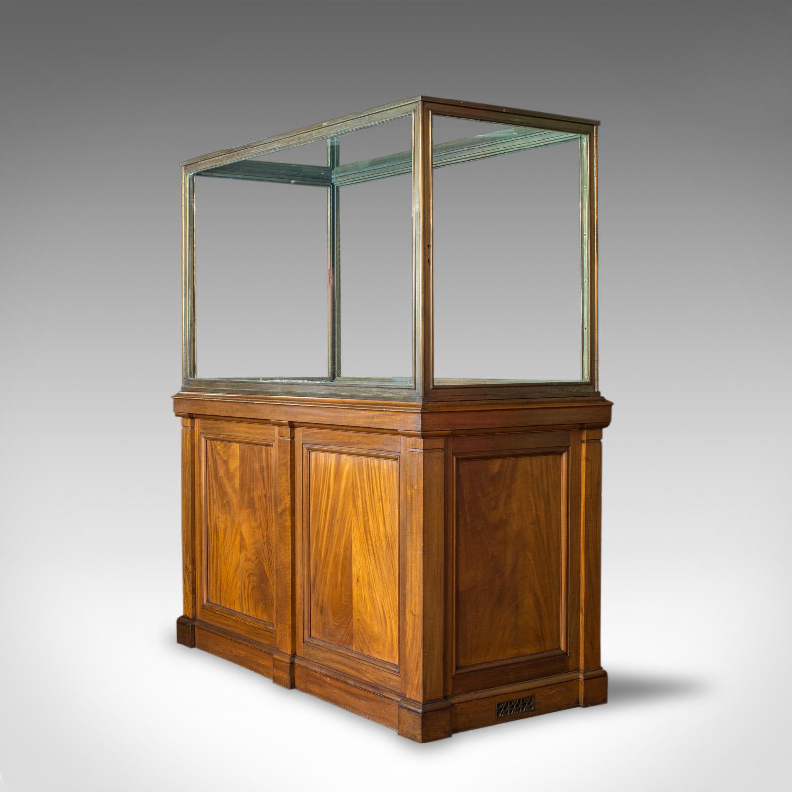 19th Century Antique Showcase Cabinet, English, Walnut, Bronze, Display, Museum, circa 1900