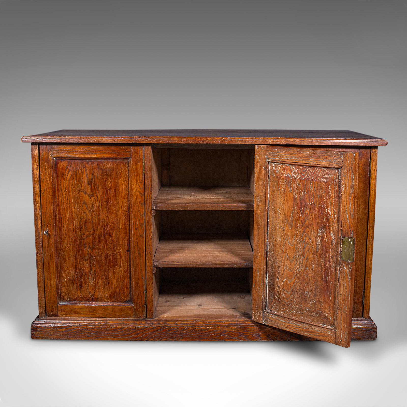 Late Victorian Antique Side Cabinet, English Oak, Hall Cupboard, Country House, Victorian, 1880