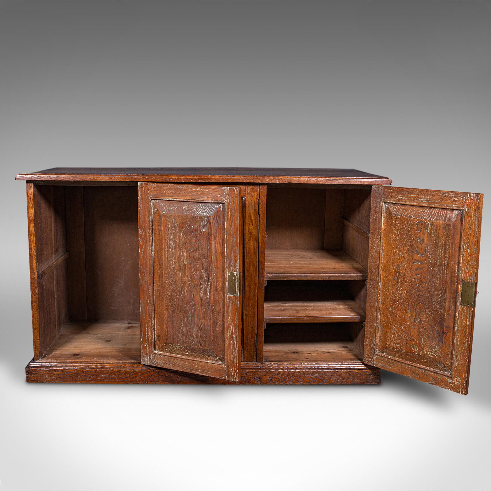 British Antique Side Cabinet, English Oak, Hall Cupboard, Country House, Victorian, 1880