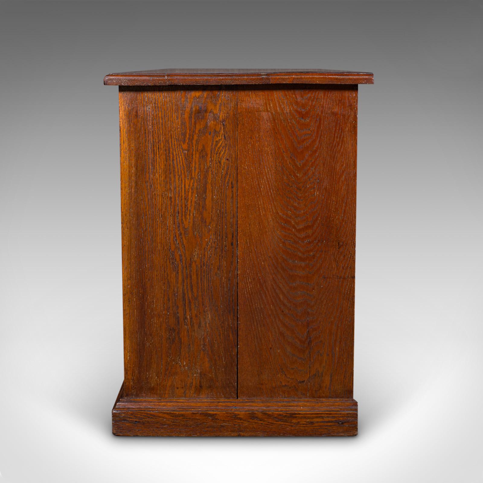 19th Century Antique Side Cabinet, English Oak, Hall Cupboard, Country House, Victorian, 1880
