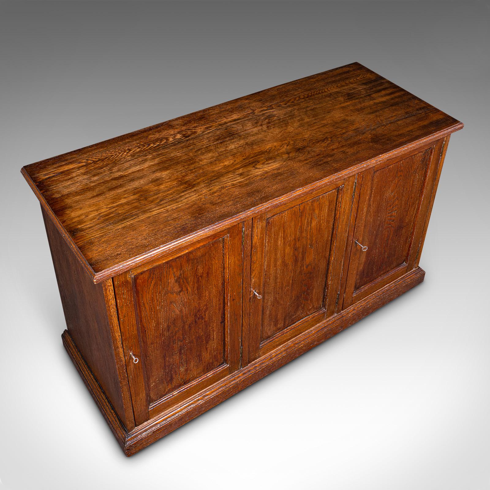 Antique Side Cabinet, English Oak, Hall Cupboard, Country House, Victorian, 1880 2