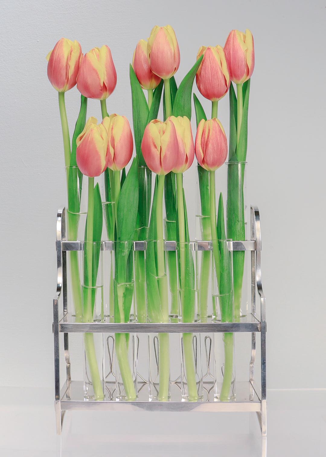 A fine signed, antique test tube or vase stand.

By Cartier.

In sterling silver.

With 11 'test tube' shaped glass inserts.

Perfect suited as a propagation stand or as a Tulipiere / bud vase.

Signed to the reverse.

Simply an incredible piece