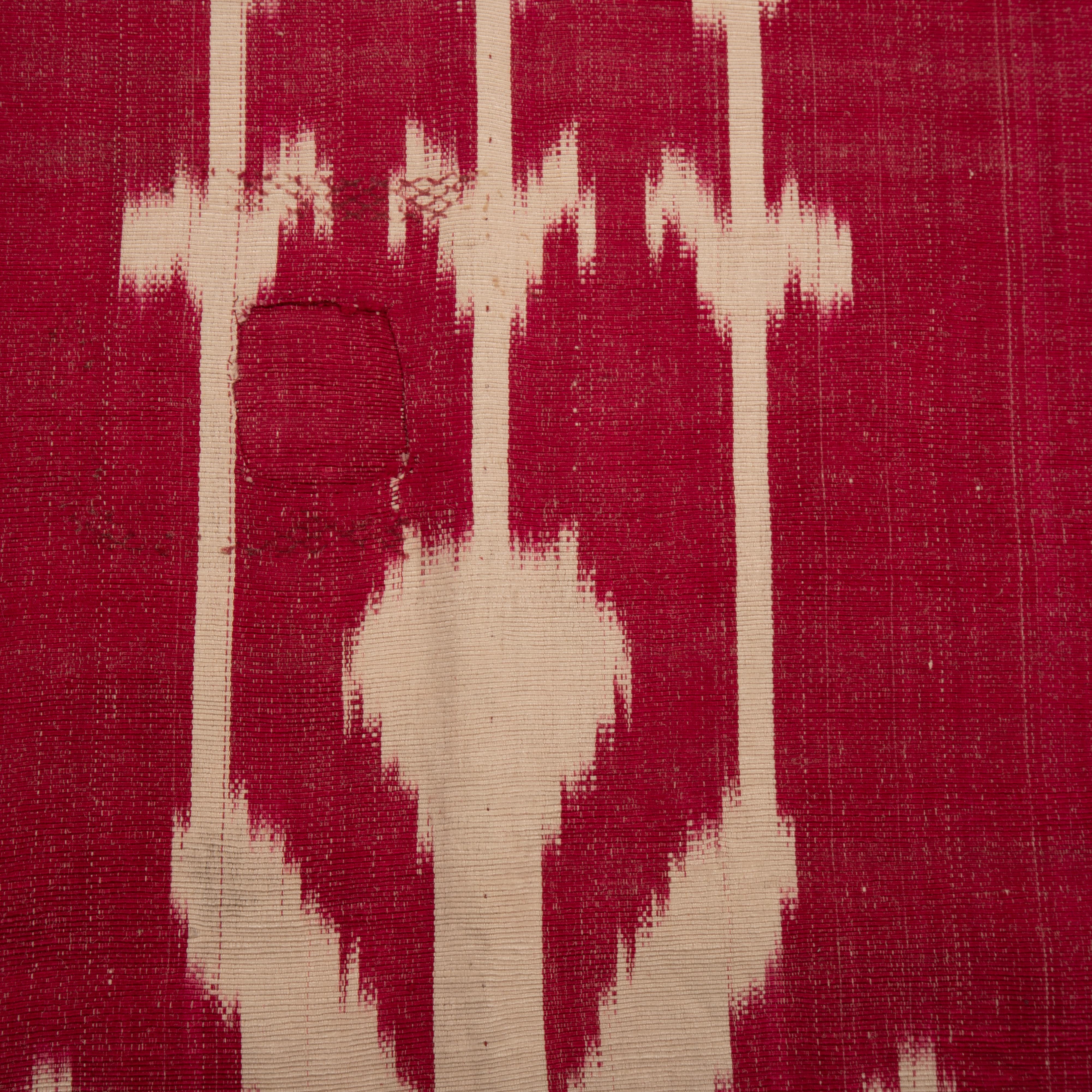 Antique Silk Warp Cotton Weft Ikat Panel, Uzbekistan, Central Asia, late 19th C. For Sale 3