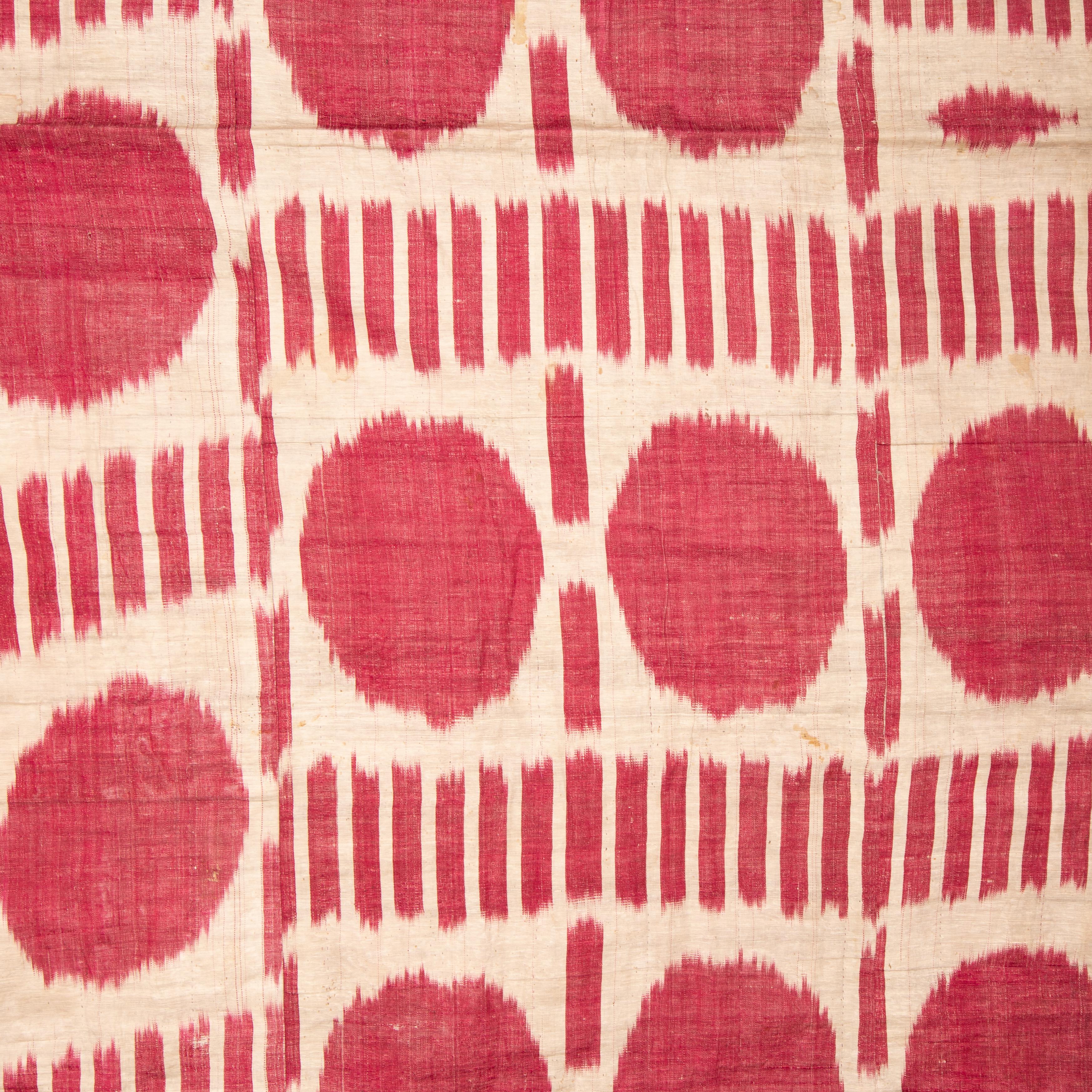 Antique Silk Warp Cotton Weft Ikat Panel, Uzbekistan, Late 19th C 2