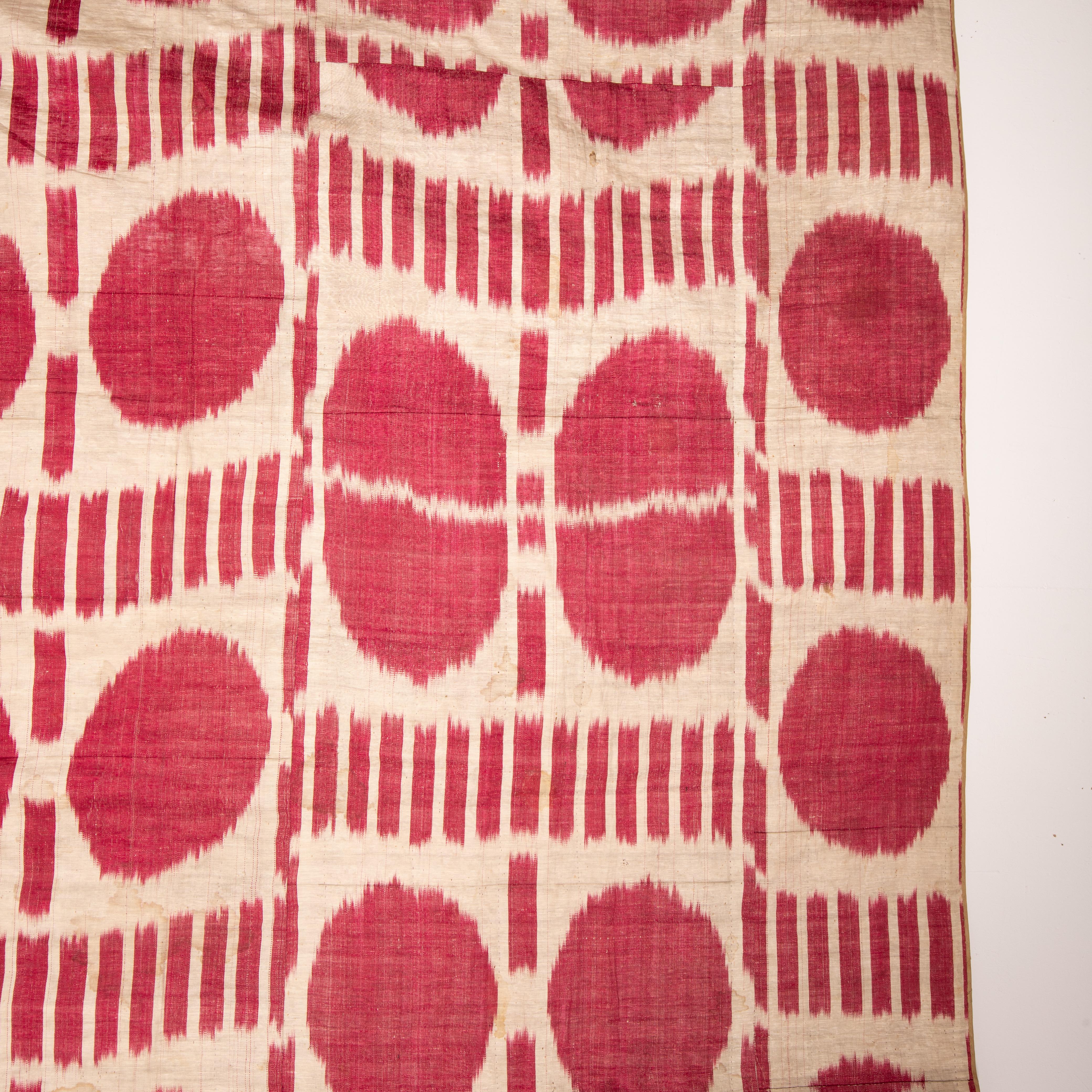 Antique Silk Warp Cotton Weft Ikat Panel, Uzbekistan, Late 19th C 3