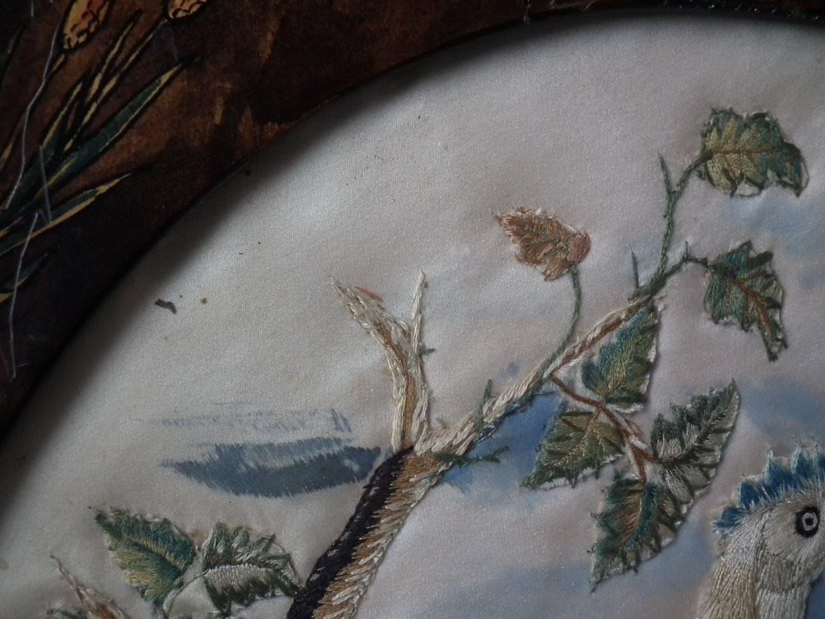 Antique Silkwork Embroidery of a Bird of Paradise In Good Condition In Chelmsford, Essex