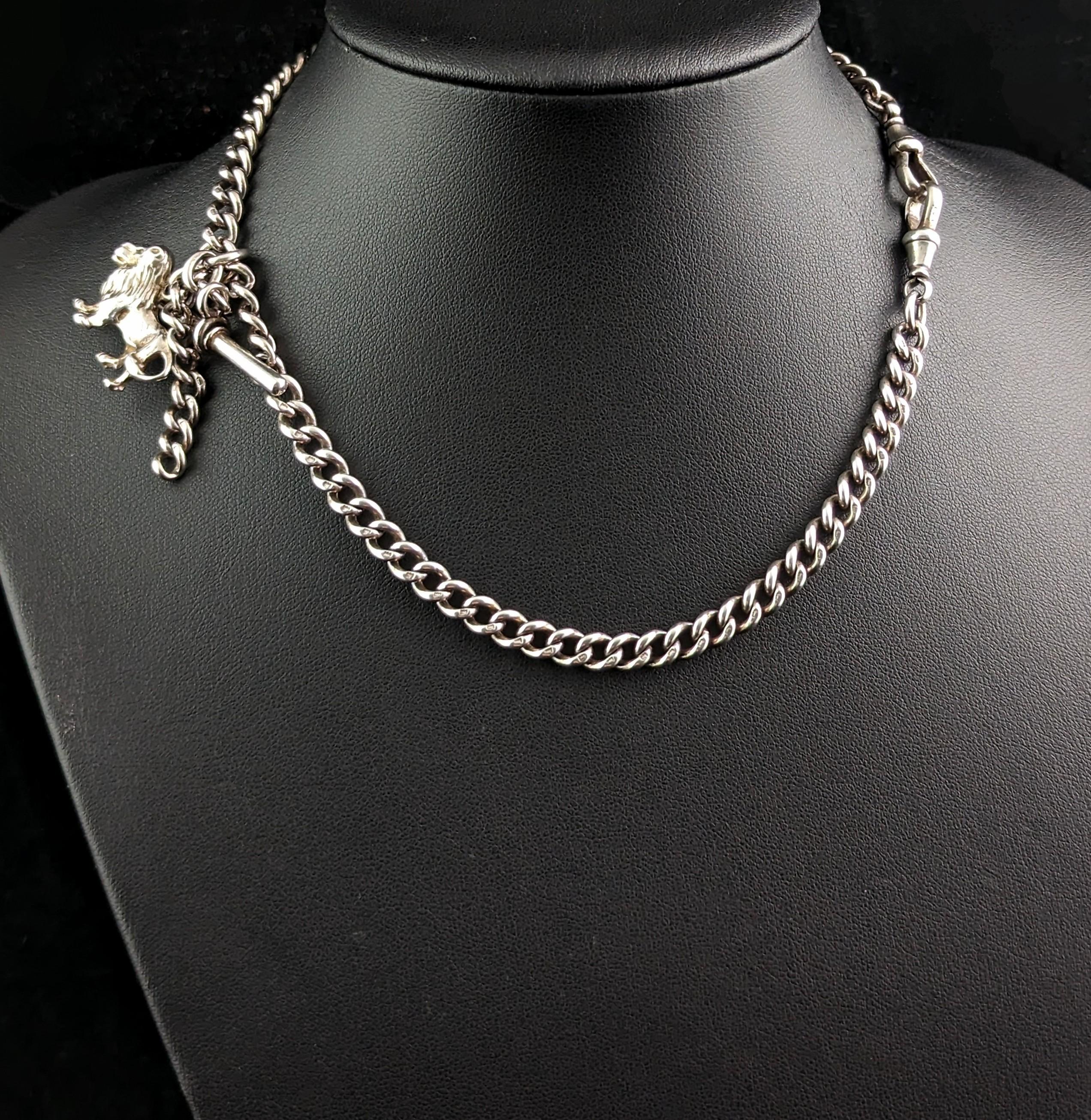 You can't help but fall in love with this handsome antique Albert chain.

It is a sterling silver chain with a curb link, it has dog clip fasteners to each end with a T bar and the most fantastic antique silver lion fob.

The fob could also be used